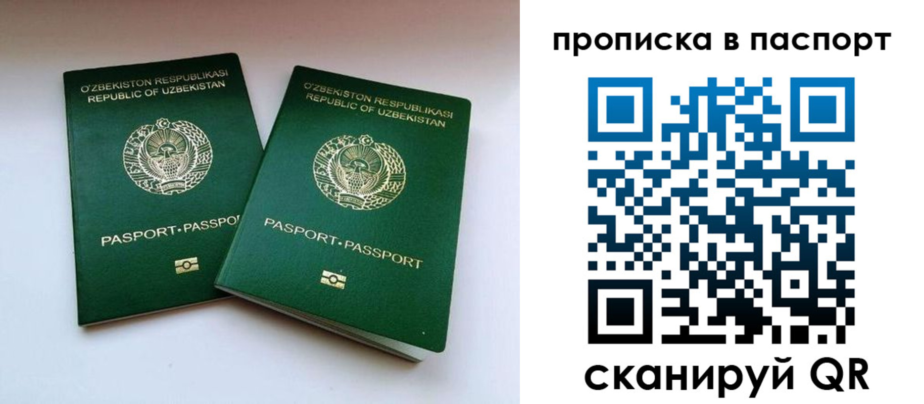 временная регистрация в Баймаке
